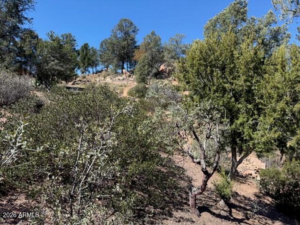 Image 53 of property listing at 704 S Prestwick -- 140, Payson, AZ 85541