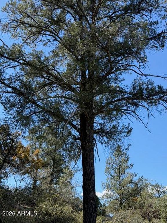 Image 54 of property listing at 704 S Prestwick -- 140, Payson, AZ 85541