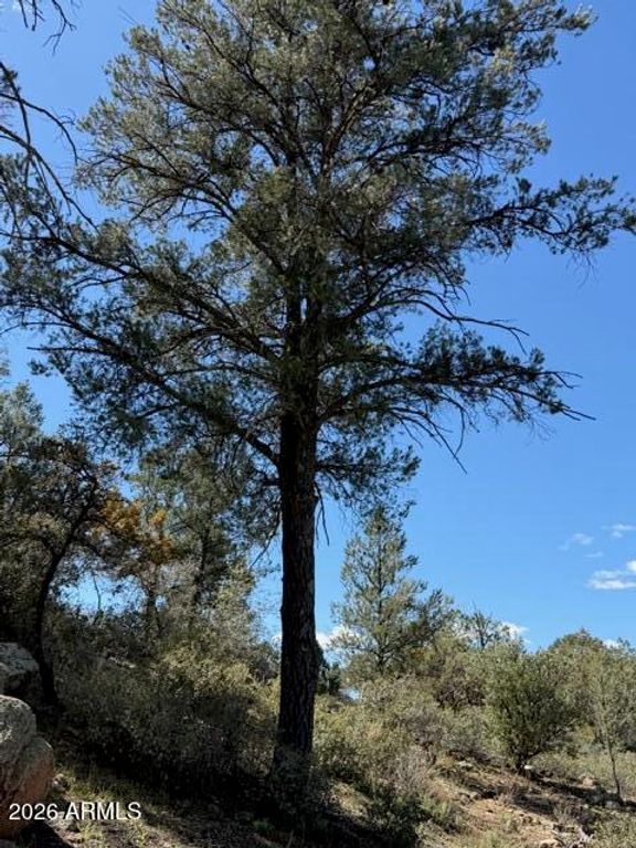 Image 56 of property listing at 704 S Prestwick -- 140, Payson, AZ 85541