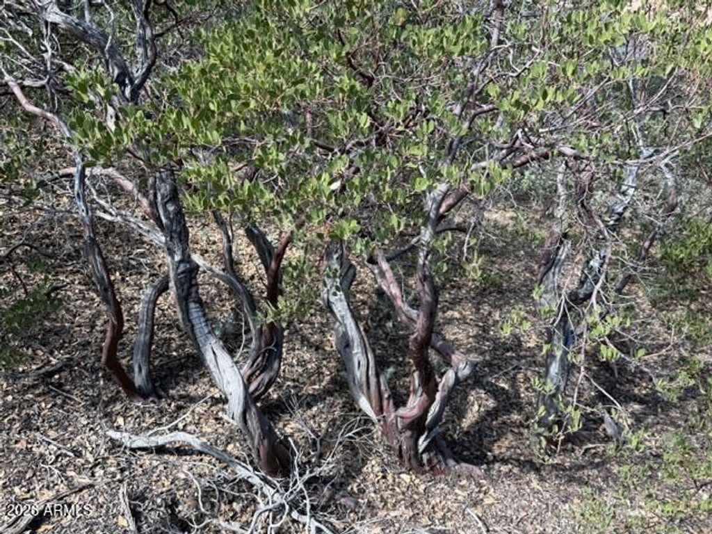 Image 57 of property listing at 704 S Prestwick -- 140, Payson, AZ 85541