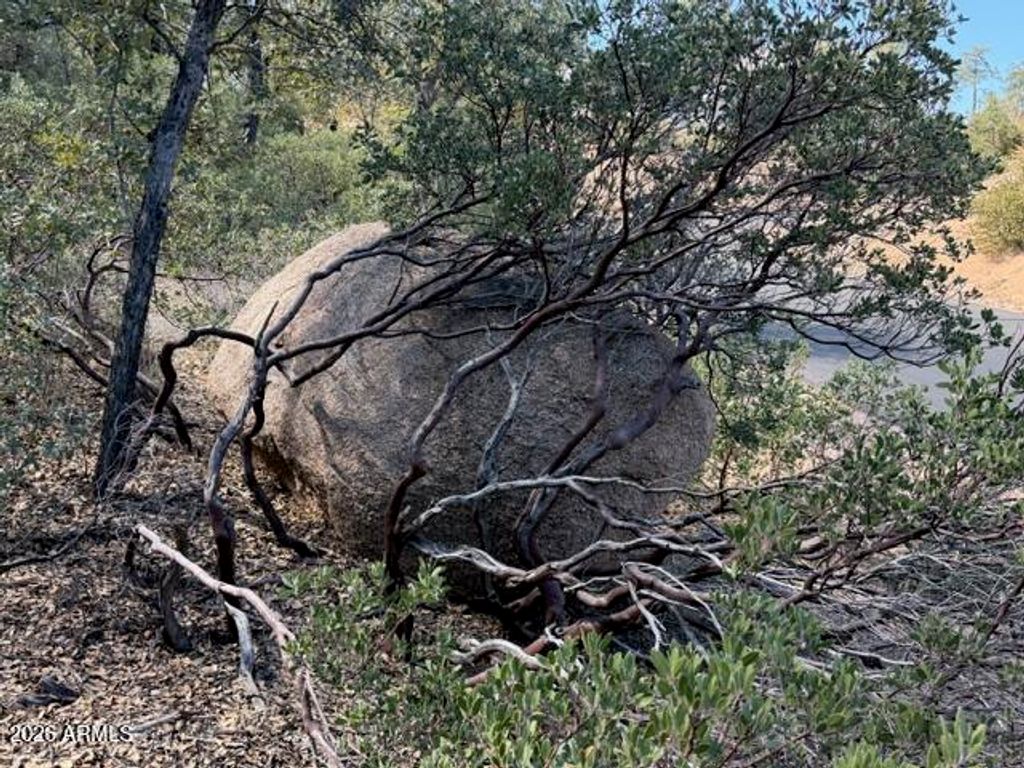 Image 58 of property listing at 704 S Prestwick -- 140, Payson, AZ 85541