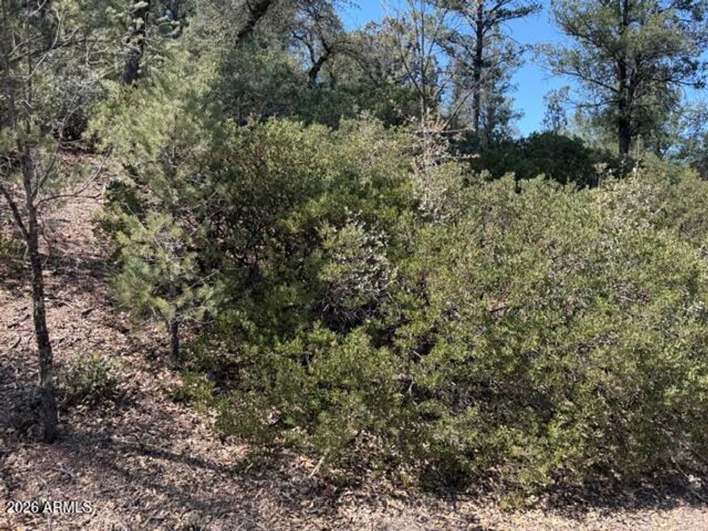 Image 59 of property listing at 704 S Prestwick -- 140, Payson, AZ 85541