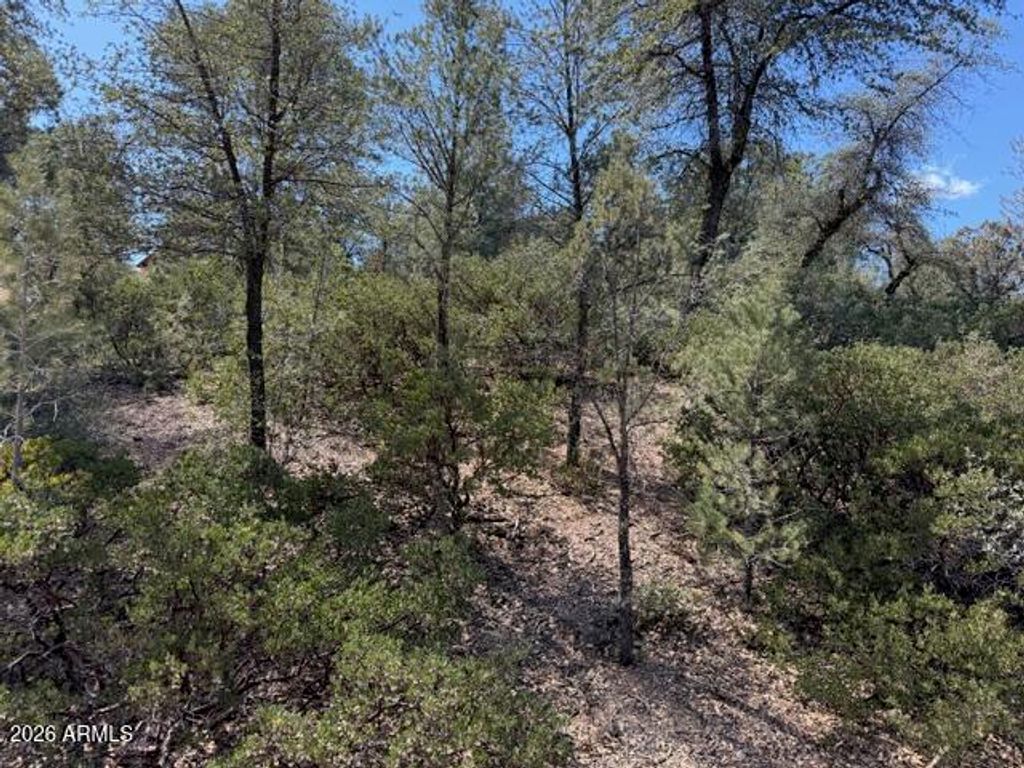 Image 60 of property listing at 704 S Prestwick -- 140, Payson, AZ 85541