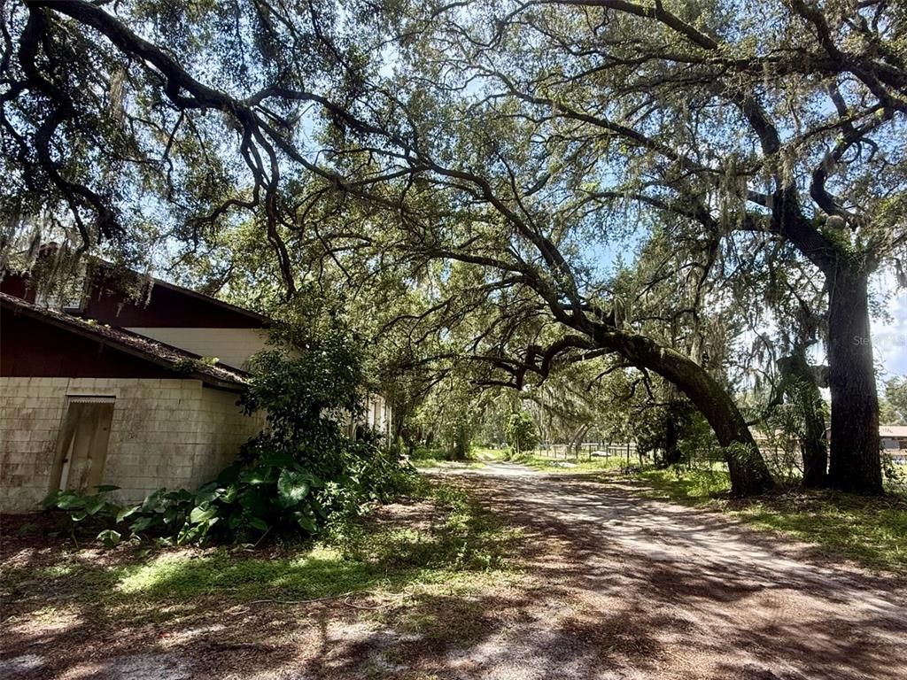2555 PLACE POND ROAD, De Leon Springs, FL 32130