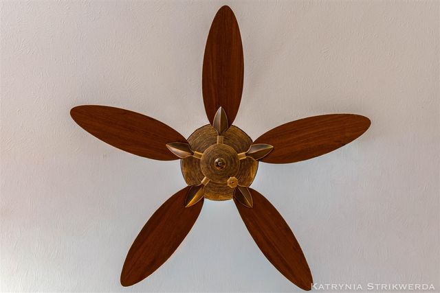 9333 Butterfly Court, Allendale, MI 49401