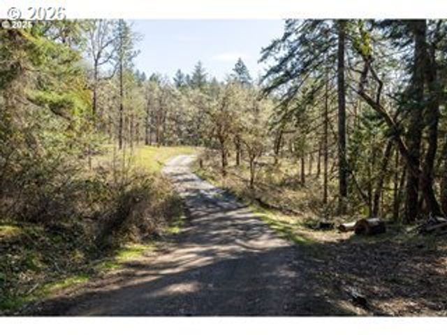 620 CLEVELAND LOOP Dr, Roseburg, OR 97471