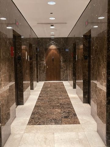 10 E Ontario Street 4001, Chicago, IL 60611