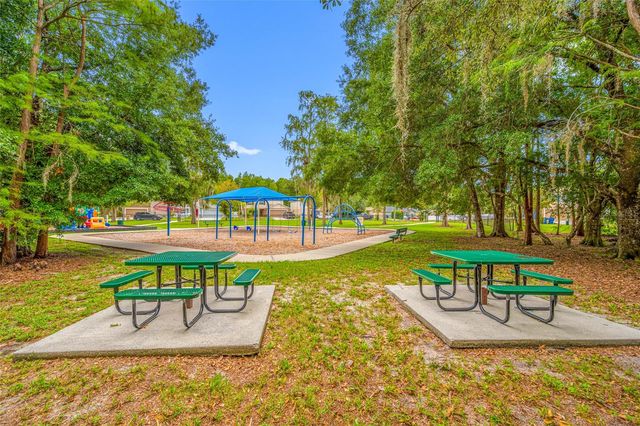 13953 JACOBSON DRIVE, Odessa, FL 33556