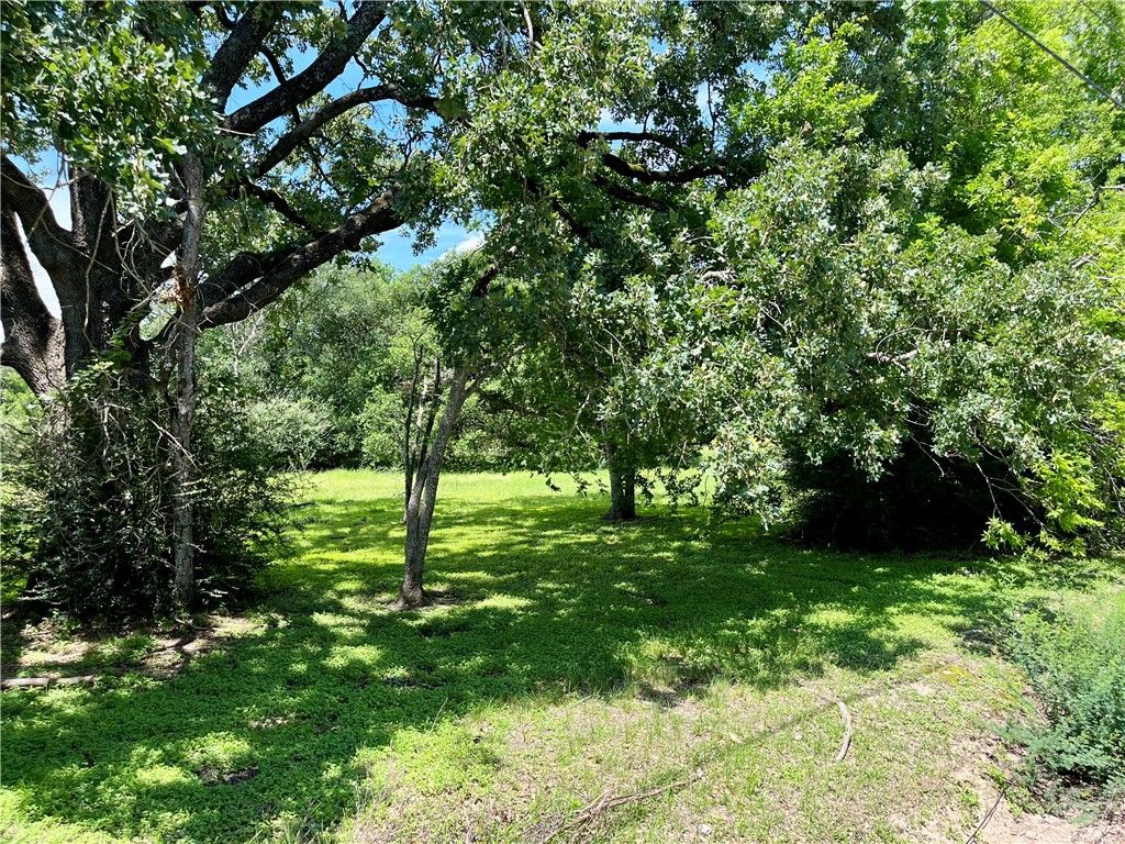 1412 Rollins Avenue, Bryan, TX 77803 — photo 4