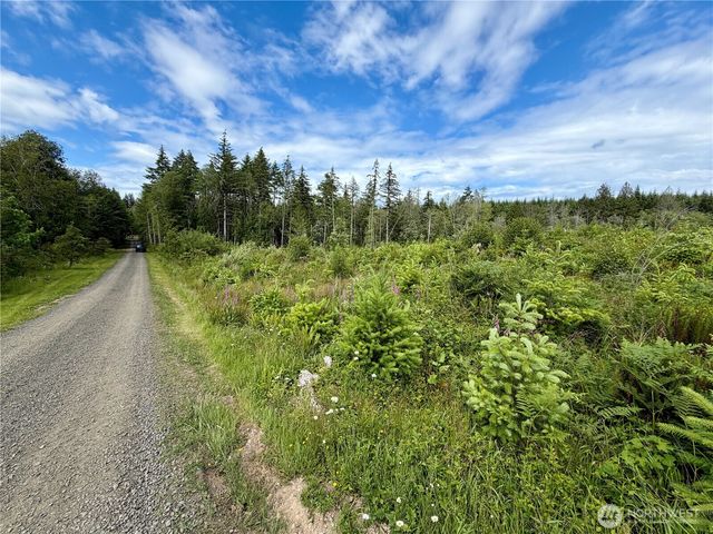 0 TR10 SE Wellswood Way, Shelton, WA 98584