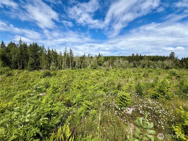0 TR10 SE Wellswood Way, Shelton, WA 98584