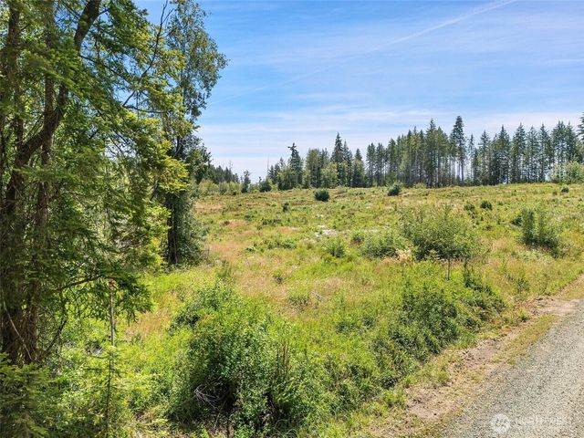 0 TR10 SE Wellswood Way, Shelton, WA 98584