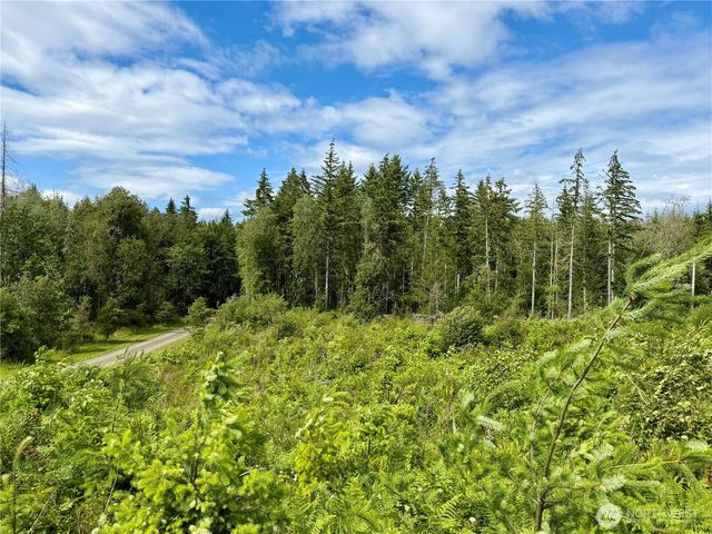 0 TR10 SE Wellswood Way, Shelton, WA 98584
