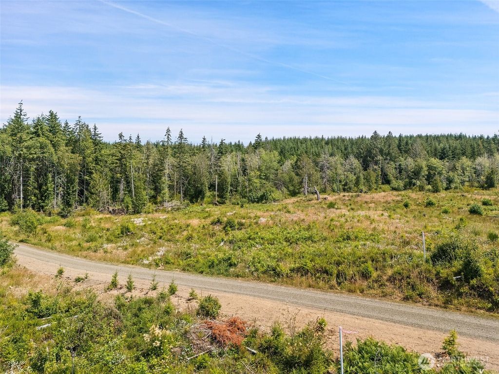 0 TR10 SE Wellswood Way, Shelton, WA 98584