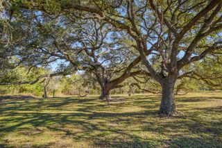 421 Krchnak RD, Smithville, TX 78957