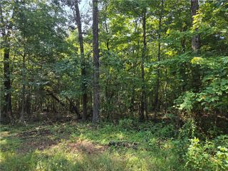 Pamela Lane, Bella Vista, AR 72715