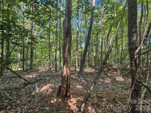 0 Shumont Estates Drive 1, Lake Lure, NC 28746