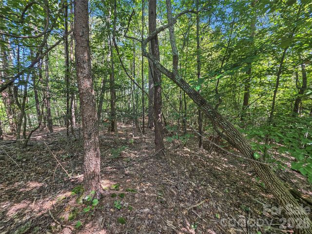 0 Shumont Estates Drive 1, Lake Lure, NC 28746