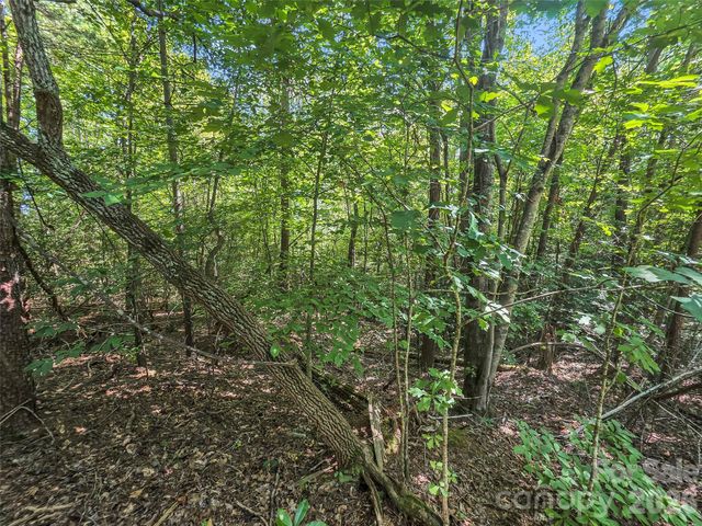 0 Shumont Estates Drive 1, Lake Lure, NC 28746