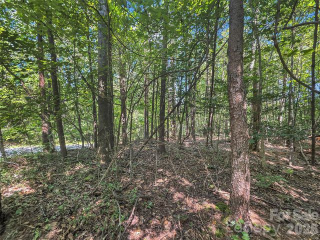 0 Shumont Estates Drive 1, Lake Lure, NC 28746