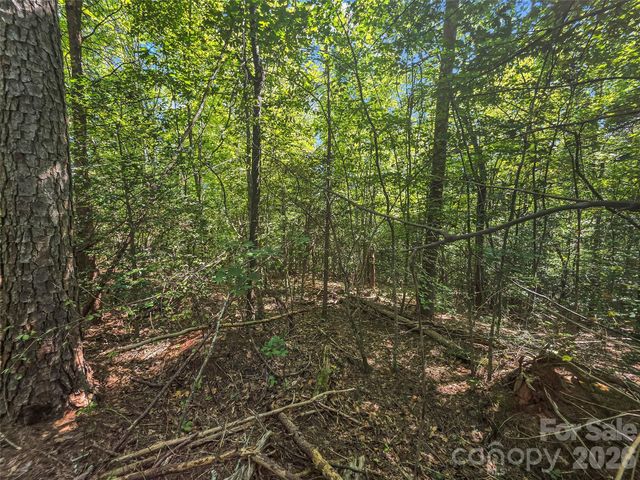 0 Shumont Estates Drive 1, Lake Lure, NC 28746