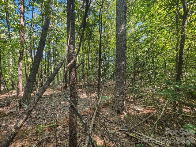 0 Shumont Estates Drive 1, Lake Lure, NC 28746