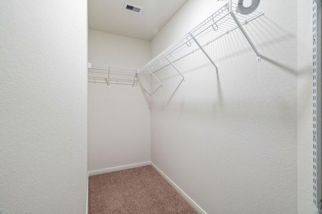 25461 Black Spruce Drive, Cleveland, TX 77328