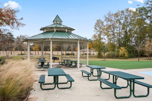 25461 Black Spruce Drive, Cleveland, TX 77328