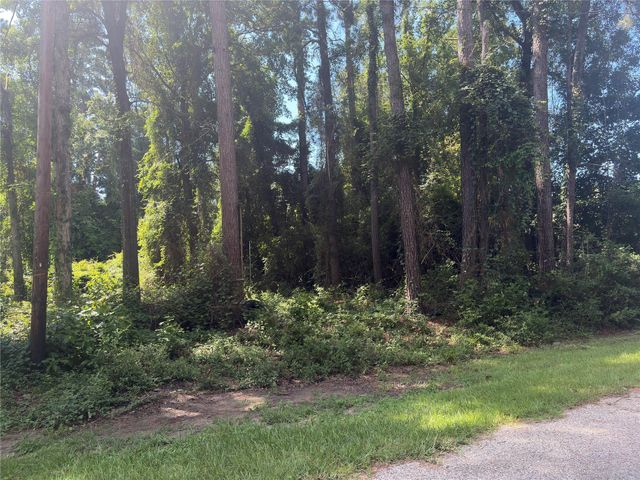 278 Holly Drive, Onalaska, TX 77360