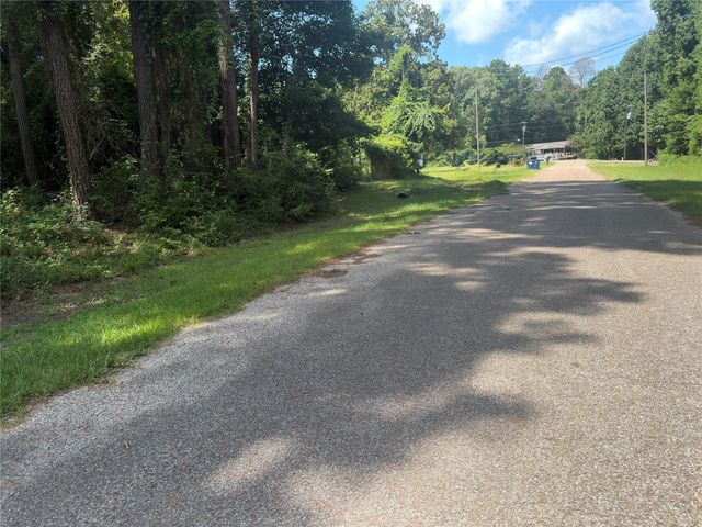 278 Holly Drive, Onalaska, TX 77360