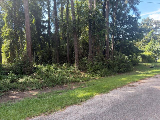 278 Holly Drive, Onalaska, TX 77360