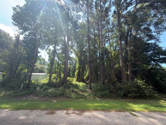 278 Holly Drive, Onalaska, TX 77360