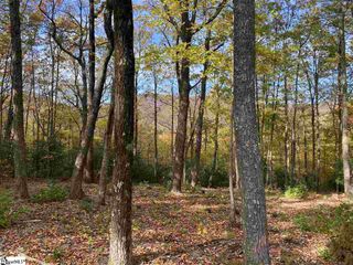 1526 Panther Park Trail, Travelers Rest, SC 29690