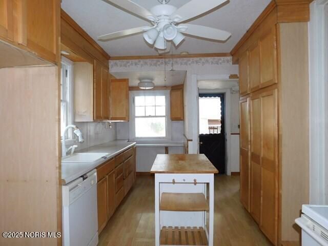 4352 Berwick Avenue, Toledo, OH 43612