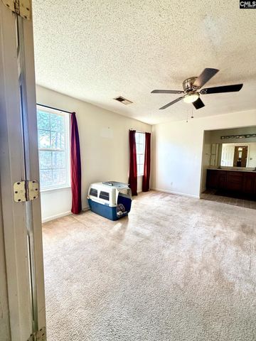 175 Savannah Hills Drive, Lexington, SC 29073