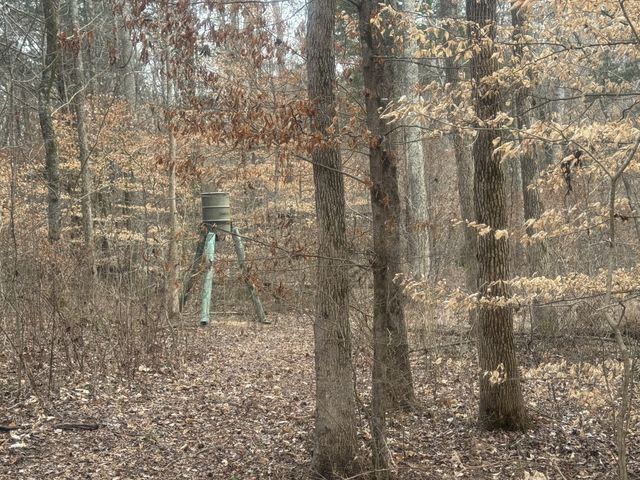 323 Graham Rd, Cumberland City, TN 37050