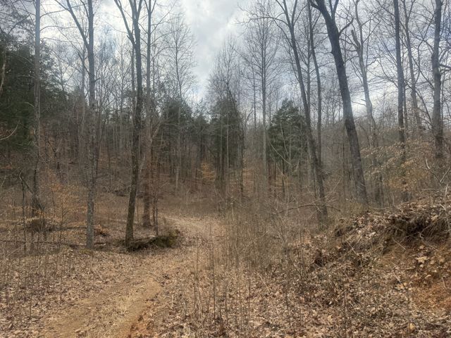 323 Graham Rd, Cumberland City, TN 37050