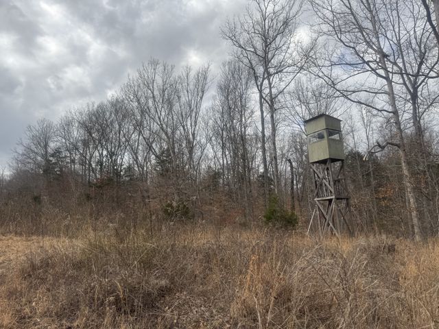 323 Graham Rd, Cumberland City, TN 37050