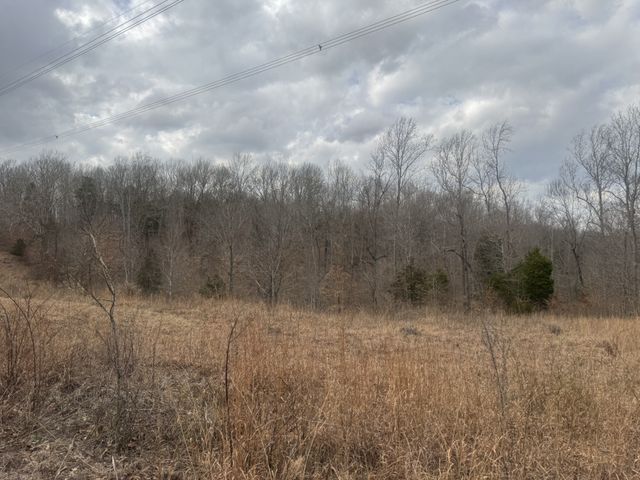 323 Graham Rd, Cumberland City, TN 37050