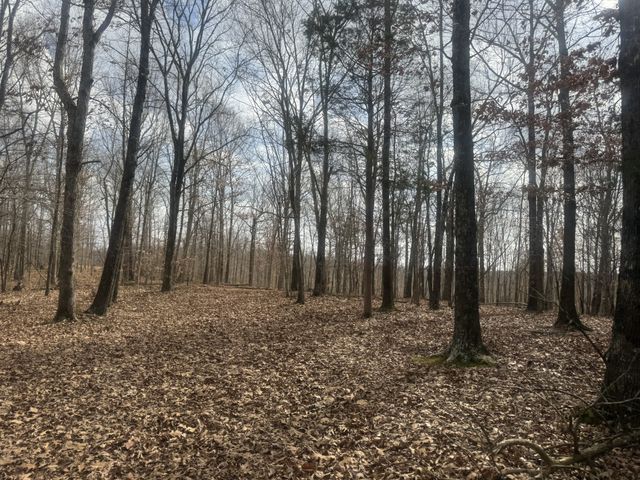 323 Graham Rd, Cumberland City, TN 37050