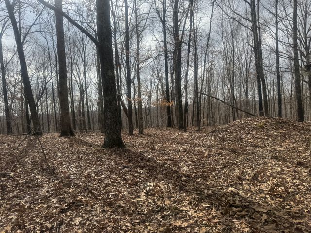 323 Graham Rd, Cumberland City, TN 37050