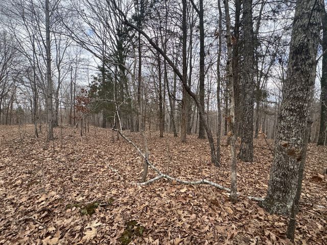 323 Graham Rd, Cumberland City, TN 37050