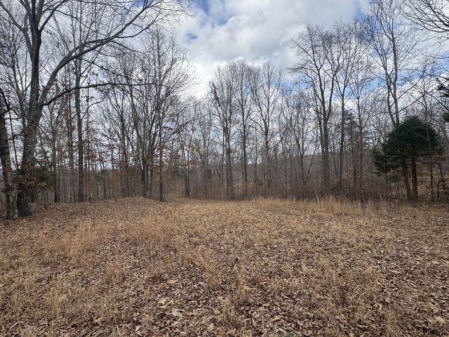 323 Graham Rd, Cumberland City, TN 37050