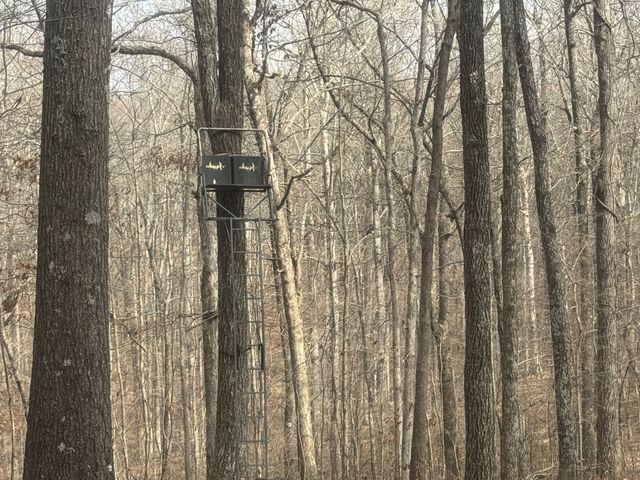 323 Graham Rd, Cumberland City, TN 37050