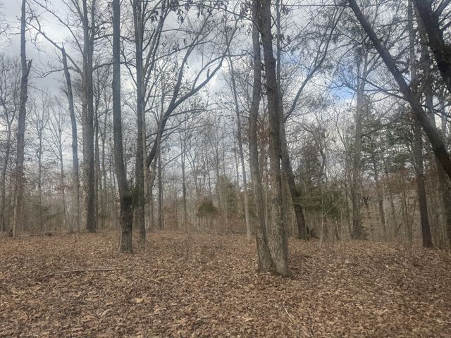 323 Graham Rd, Cumberland City, TN 37050