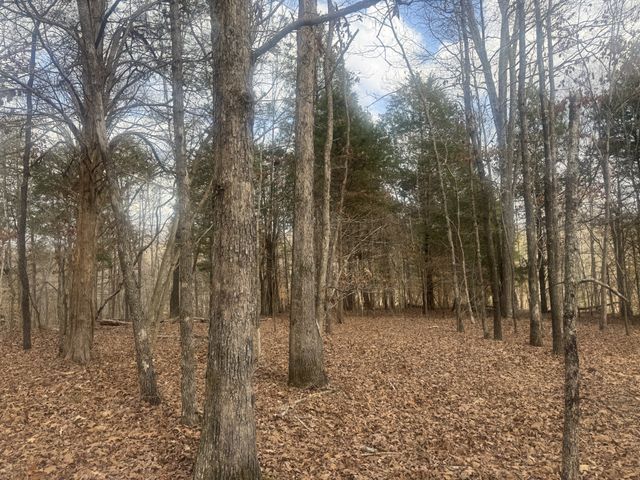 323 Graham Rd, Cumberland City, TN 37050