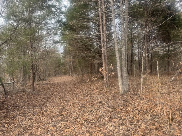 323 Graham Rd, Cumberland City, TN 37050