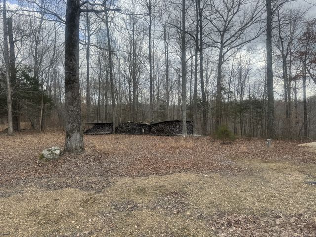 323 Graham Rd, Cumberland City, TN 37050