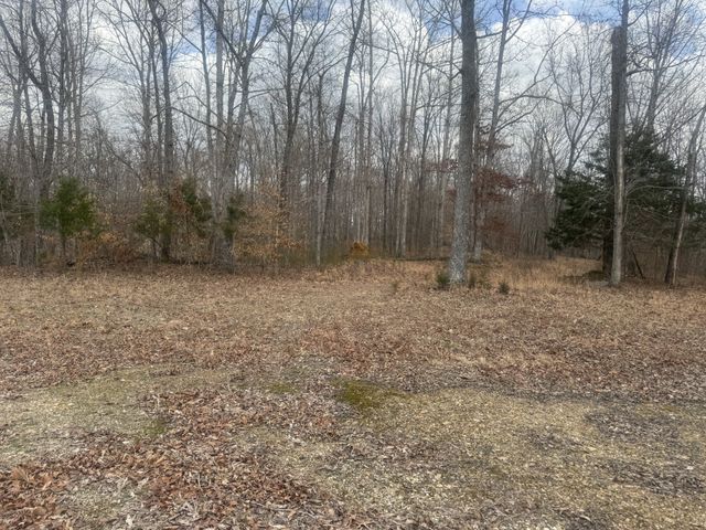 323 Graham Rd, Cumberland City, TN 37050