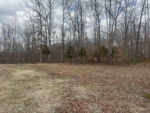 323 Graham Rd, Cumberland City, TN 37050